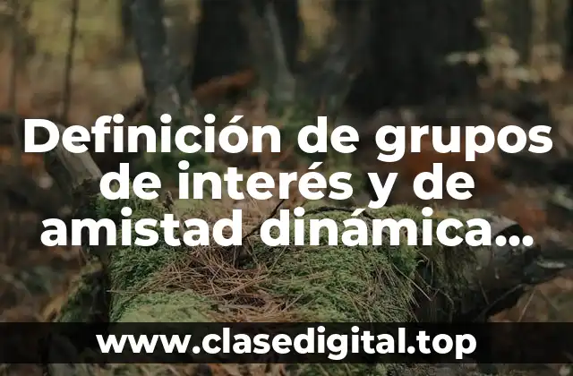 Definición de grupos de interés y de amistad dinámica social