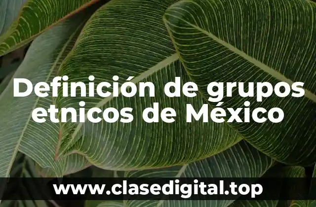 Definición de grupos etnicos de México