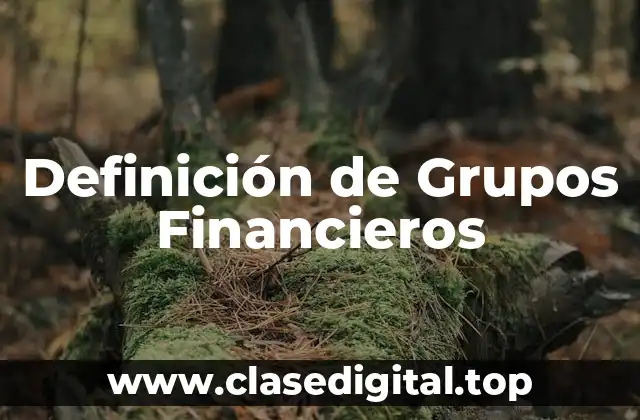 Definición de Grupos Financieros