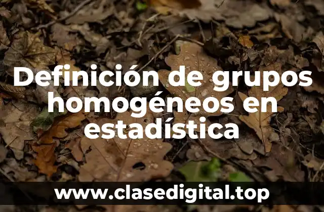 Definición de grupos homogéneos en estadística