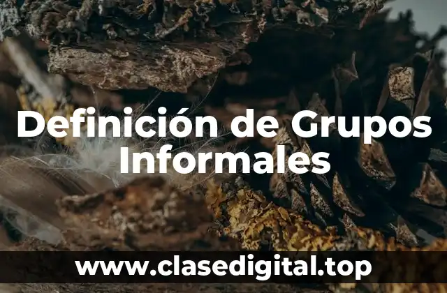 Definición de Grupos Informales