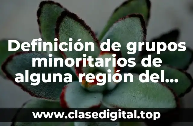 Definición de grupos minoritarios de alguna región del mundo