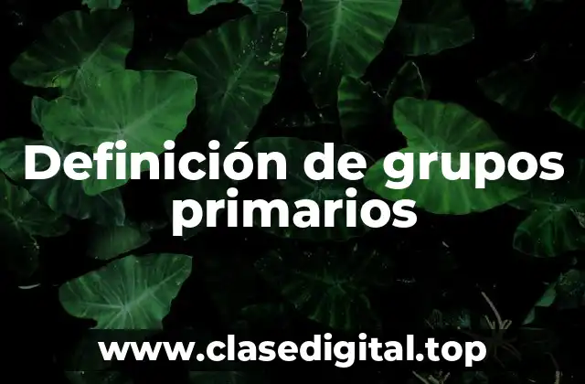 Definición de grupos primarios