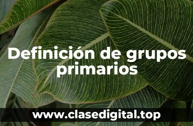 Definición técnica de grupos primarios