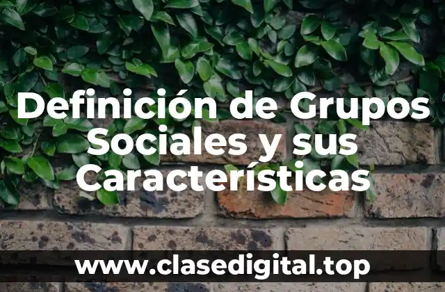 Definición de Grupos Sociales y sus Características