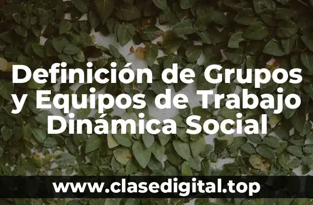 Definición Técnica de Grupo de Trabajo Dinámica Social