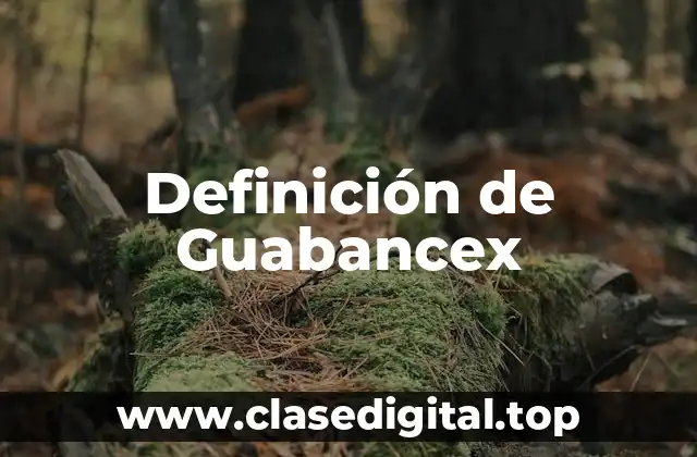 Definición de Guabancex
