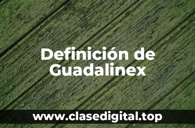 Definición de Guadalinex