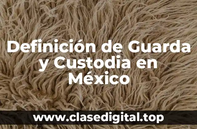 Definición de Guarda y Custodia en México