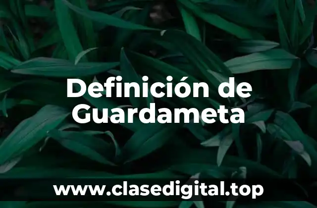 Definición de Guardameta