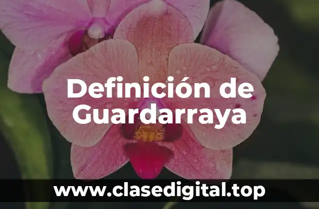 Definición de Guardarraya