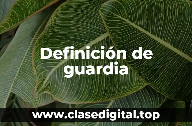 Definición de guardia