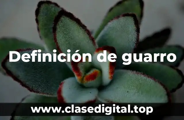 Definición de guarro