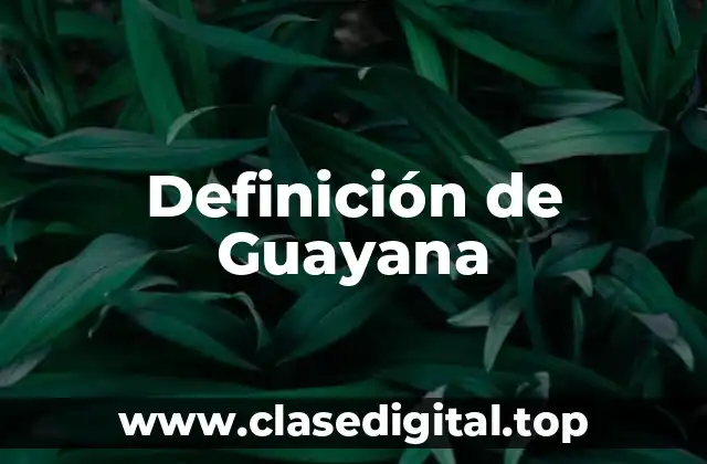 Definición de Guayana