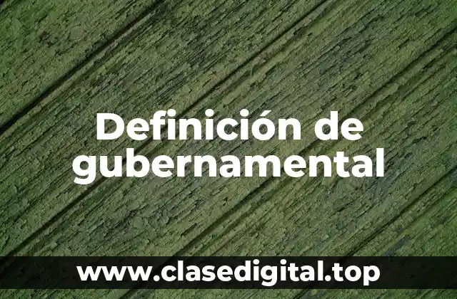 Definición de gubernamental