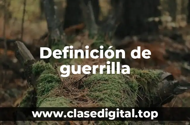 Definición de guerrilla