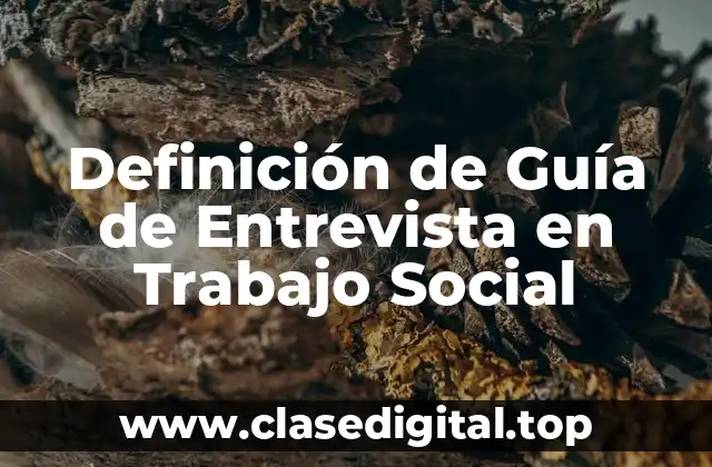 Definición de Guía de Entrevista en Trabajo Social