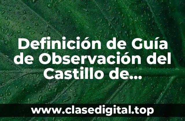 Definición de Guía de Observación del Castillo de Chapultepec