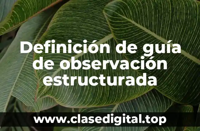 Definición de guía de observación estructurada
