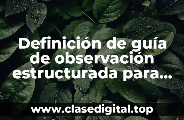 Definición de guía de observación estructurada para calificar un producto