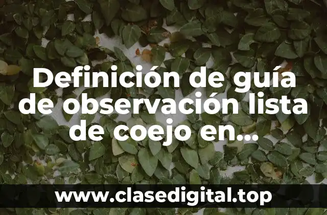 Definición de guía de observación lista de coejo en preescolar