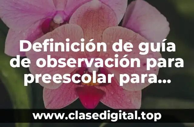 Definición de guía de observación para preescolar para evaluar