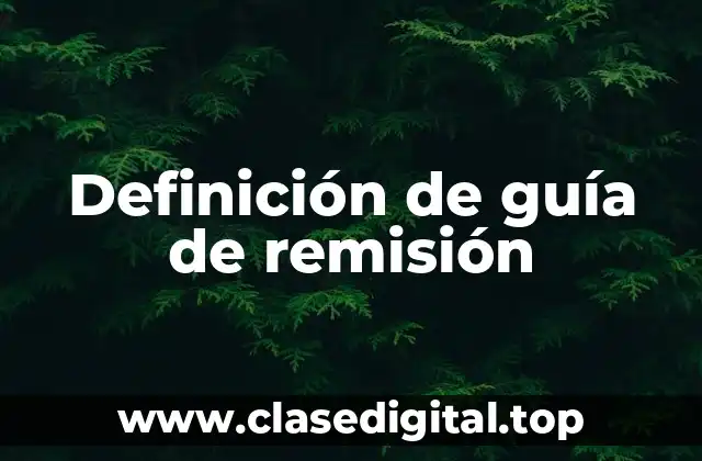 Definición de guía de remisión