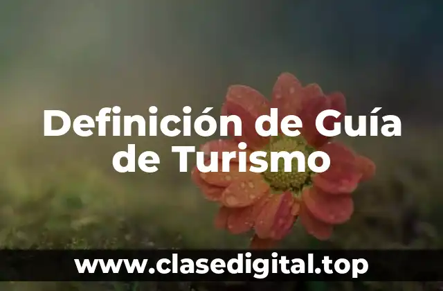 Definición de Guía de Turismo