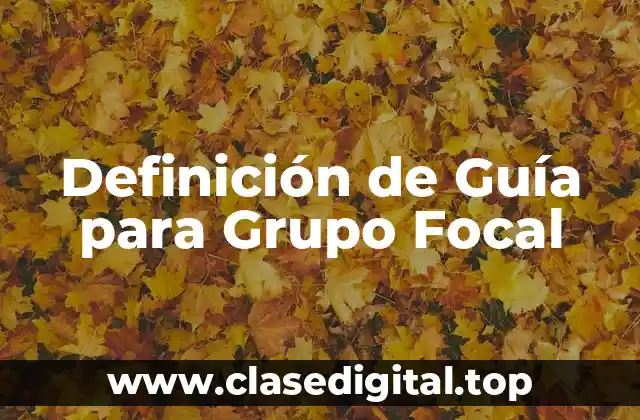 Definición de Guía para Grupo Focal