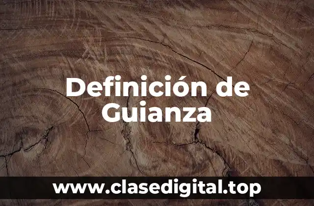Definición de Guianza