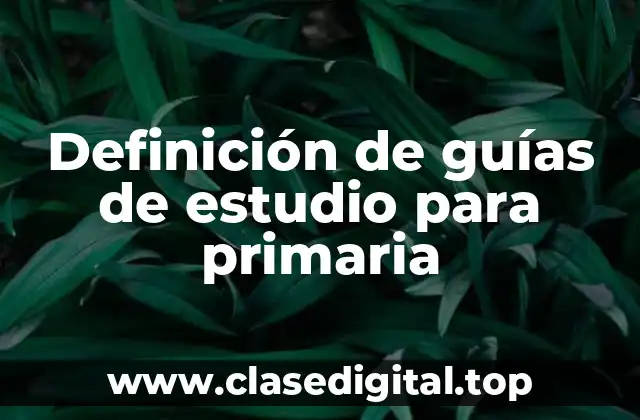 Definición de guías de estudio para primaria