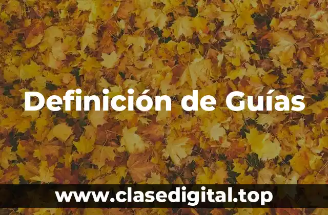 Definición de Guías