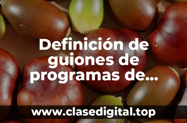 Ejemplos de guiones de programas de televisión