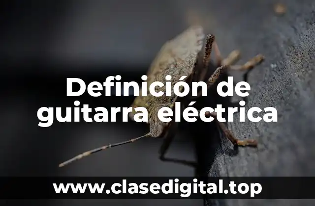 Definición de guitarra eléctrica