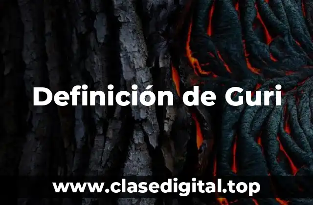 Definición técnica de Guri