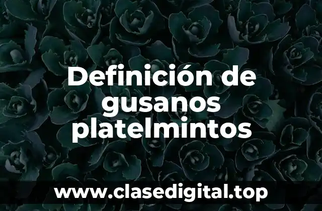 Definición de gusanos platelmintos