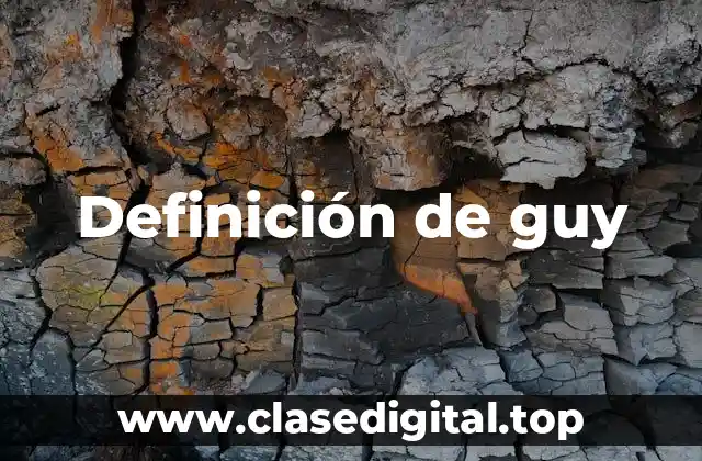 Definición de guy