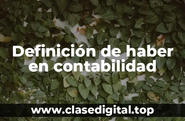 Definición de haber en contabilidad