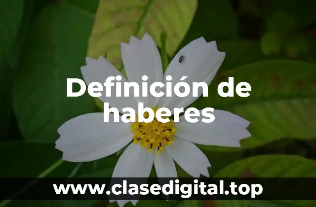 Definición de haberes