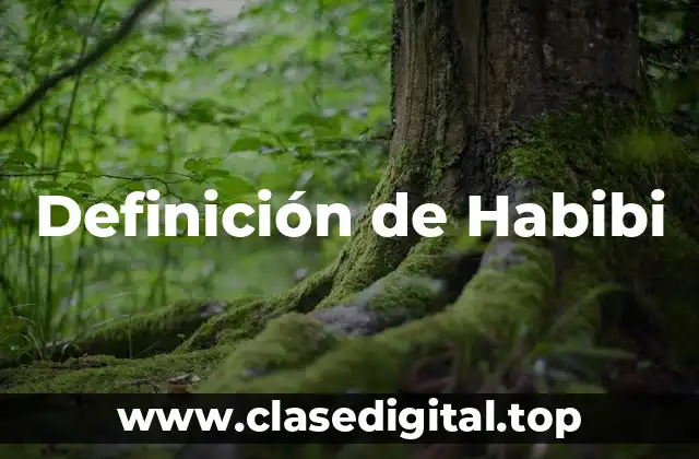 Definición de Habibi
