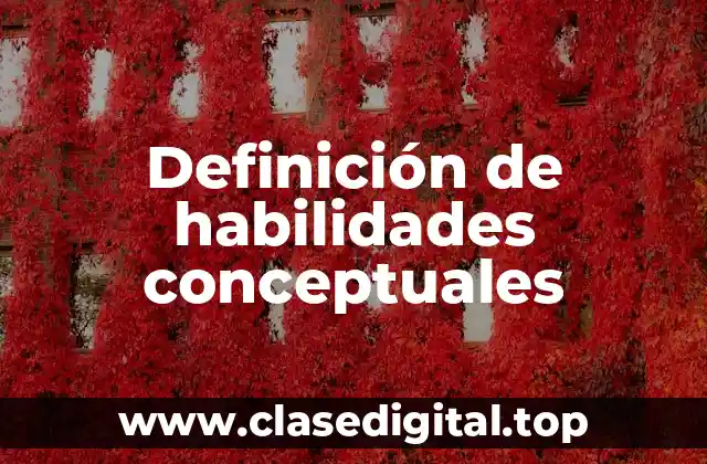 Definición de habilidades conceptuales