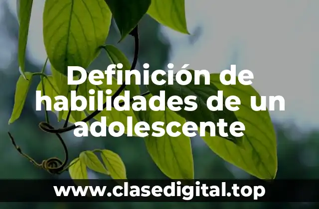 Definición de habilidades de un adolescente
