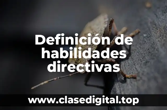 Definición técnica de habilidades directivas