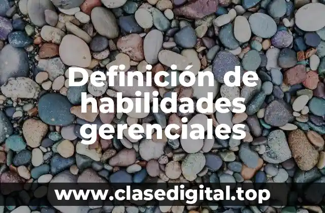 Definición técnica de habilidades gerenciales
