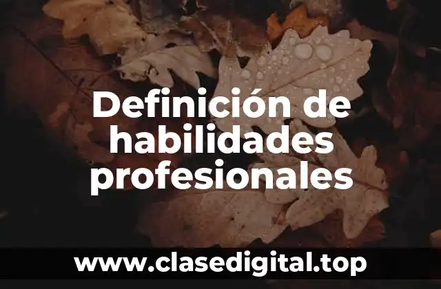 Definición de habilidades profesionales