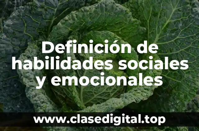 Definición de habilidades sociales y emocionales