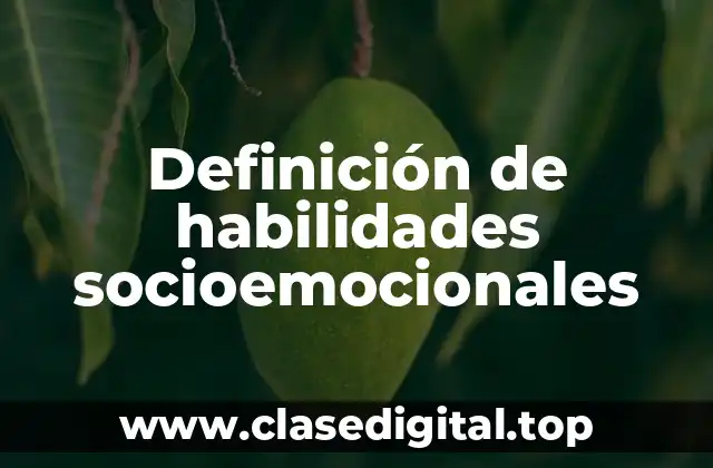 Definición de habilidades socioemocionales