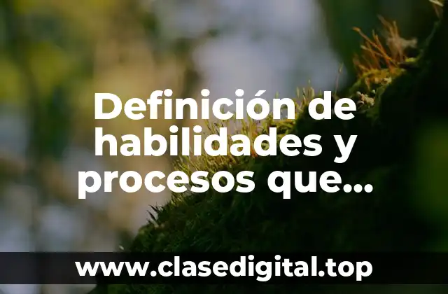 Definición de habilidades y procesos que promueven la competitividad