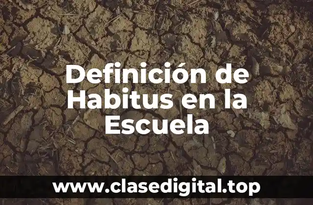 Ejemplos de Habitus en la Escuela