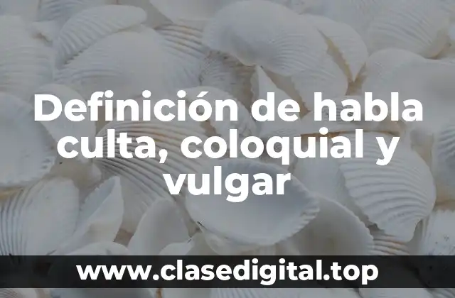 Definición de habla culta, coloquial y vulgar